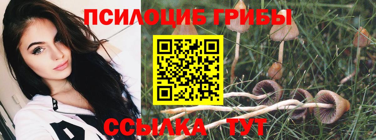 Галлюциногенные грибы мухоморы Новый Уренгой